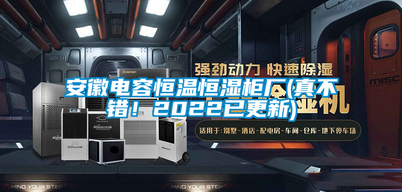 安徽电容恒温恒湿柜厂(真不错!2022已更新)