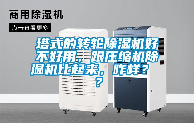 塔式的转轮除湿机好不好用,跟压缩机除湿机比起来,咋样? ?