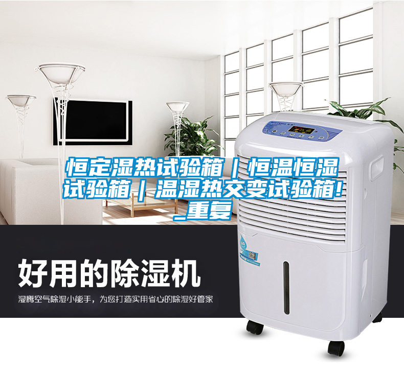 恒定湿热试验箱｜恒温恒湿试验箱｜温湿热交变试验箱!_重复
