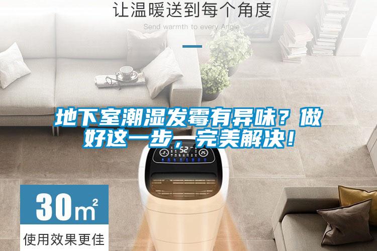 地下室潮湿发霉有异味？做好这一步，完美解决！