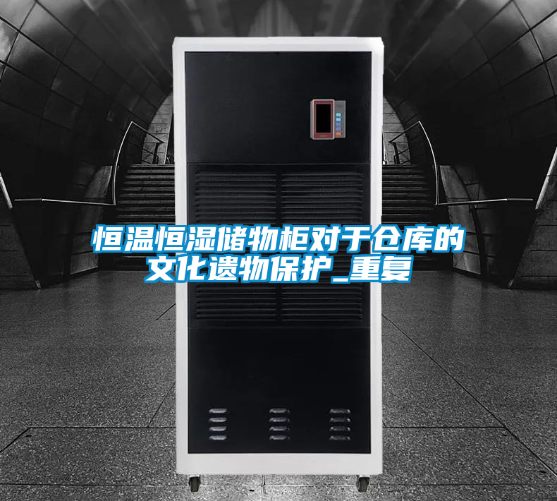 恒温恒湿储物柜对于仓库的文化遗物保护_重复