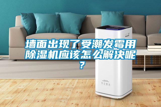 墙面出现了受潮发霉用除湿机应该怎么解决呢？