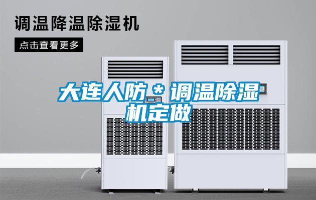 大连人防＊调温除湿机定做