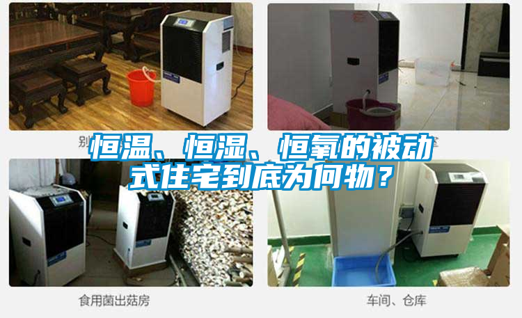 恒温、恒湿、恒氧的被动式住宅到底为何物？