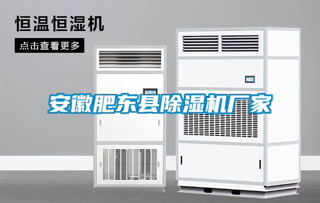安徽肥东县除湿机厂家