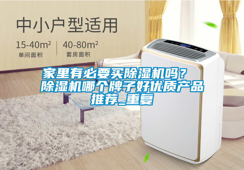 家里有必要买除湿机吗？ 除湿机哪个牌子好优质产品推荐_重复