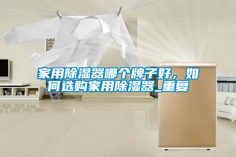 家用除湿器哪个牌子好，如何选购家用除湿器_重复