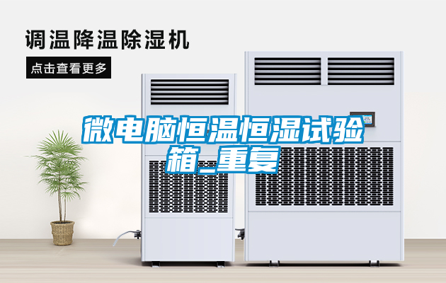 微电脑恒温恒湿试验箱_重复