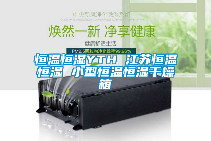 恒温恒湿YTH 江苏恒温恒湿 小型恒温恒湿干燥箱