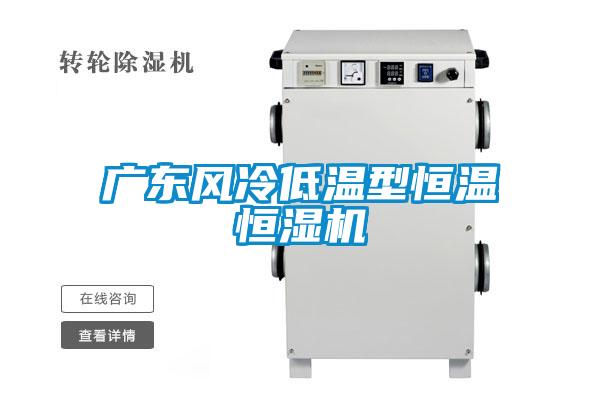 广东风冷低温型恒温恒湿机