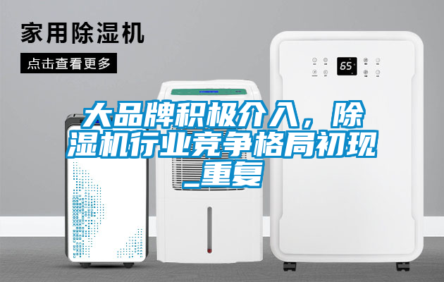 大品牌积极介入，除湿机行业竞争格局初现_重复