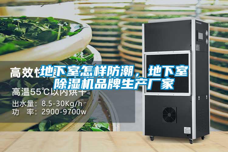 地下室怎样防潮，地下室除湿机品牌生产厂家