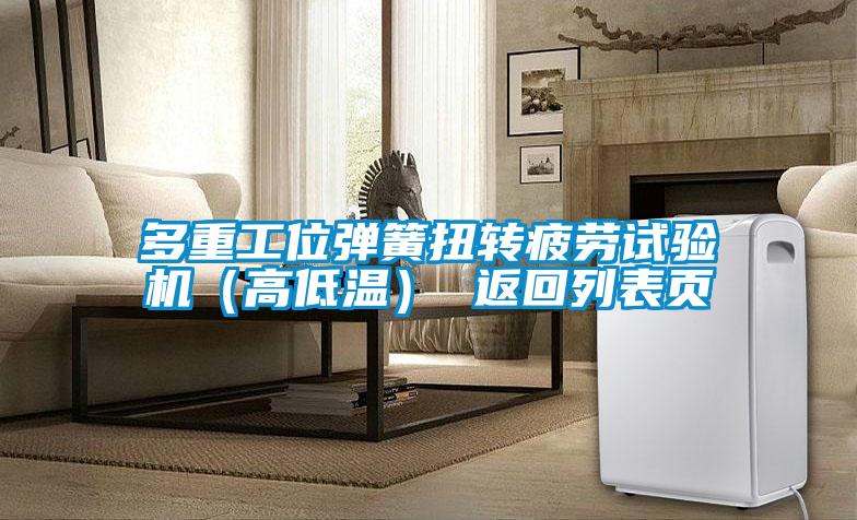 多重工位弹簧扭转疲劳试验机（高低温） 返回列表页
