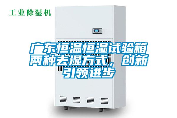 广东恒温恒湿试验箱两种去湿方式，创新引领进步