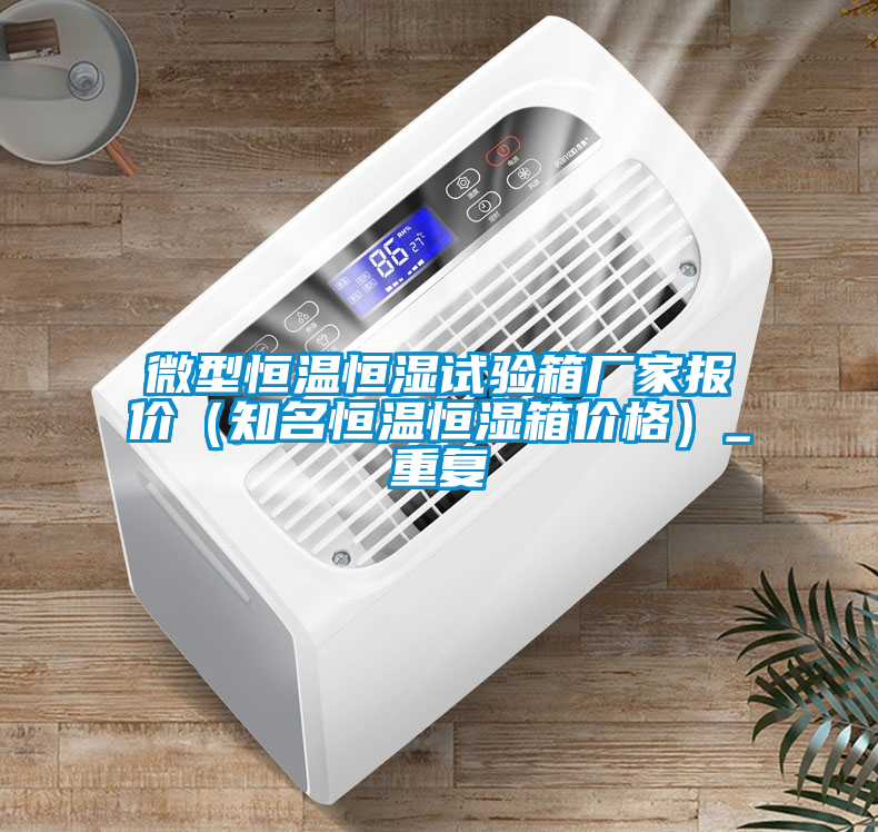 微型恒温恒湿试验箱厂家报价（知名恒温恒湿箱价格）_重复