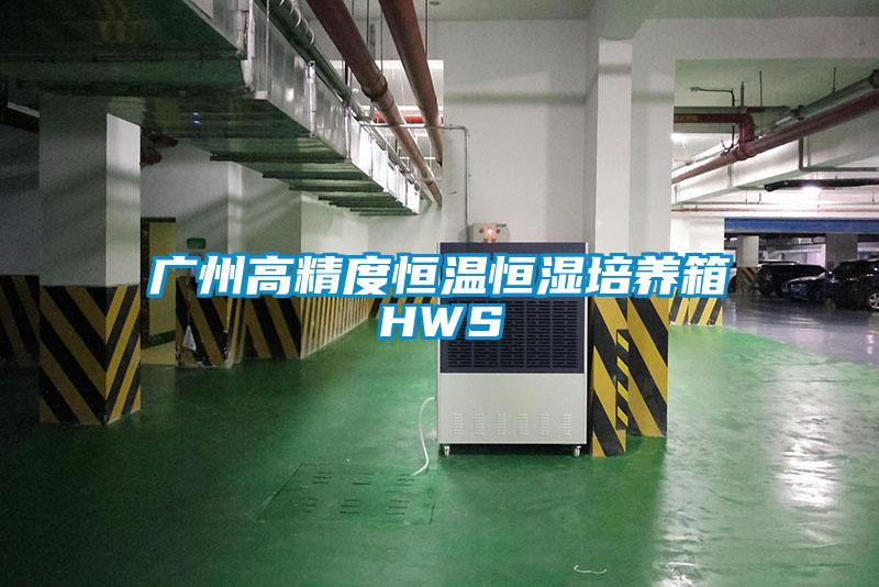 广州高精度恒温恒湿培养箱HWS
