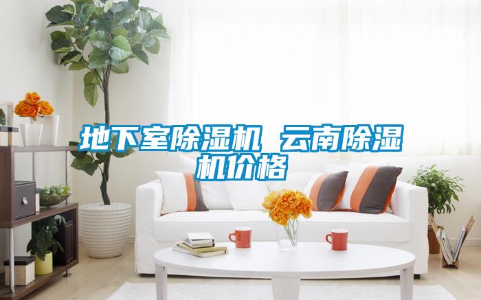 地下室除湿机 云南除湿机价格