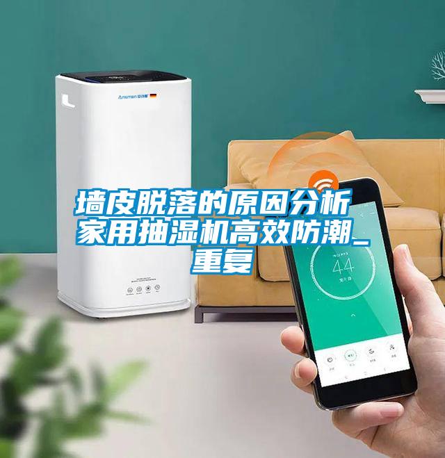 墙皮脱落的原因分析 家用抽湿机高效防潮_重复