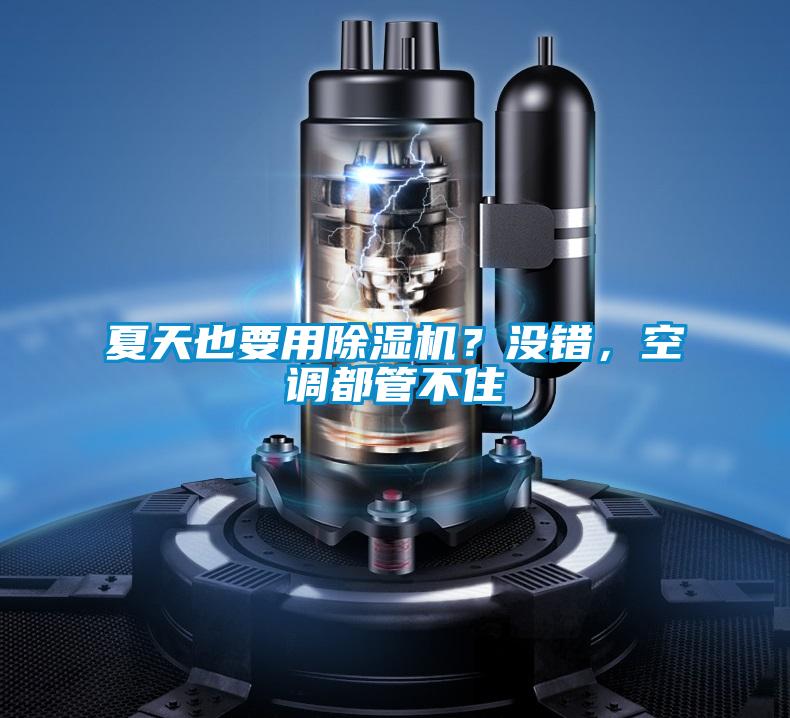 夏天也要用除湿机?没错,空调都管不住
