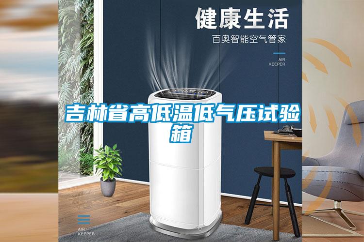 吉林省高低温低气压试验箱