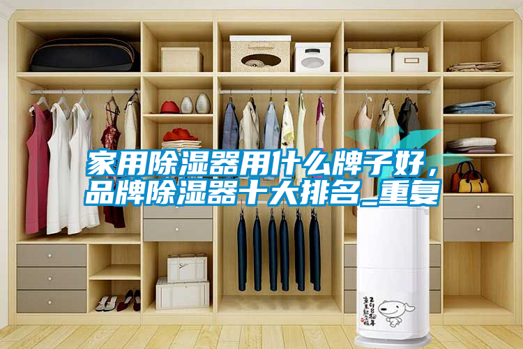 家用除湿器用什么牌子好，品牌除湿器十大排名_重复