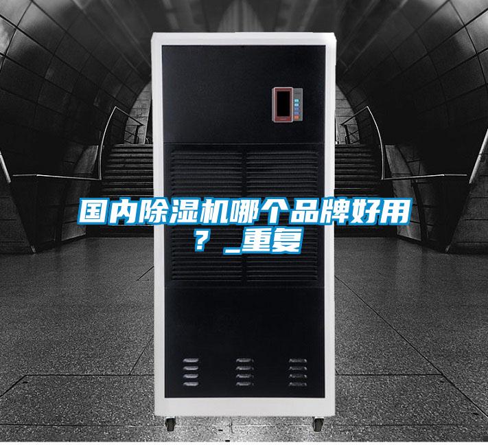 国内除湿机哪个品牌好用？_重复