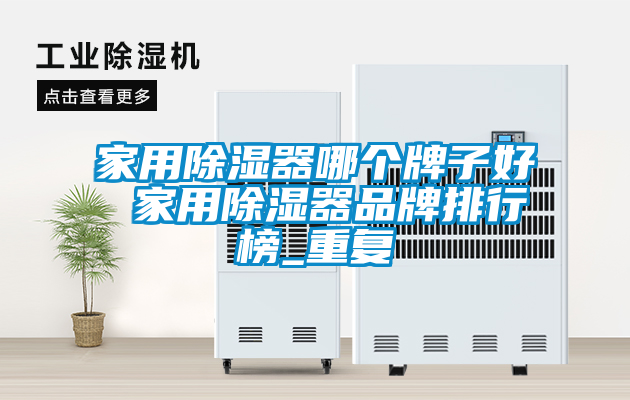 家用除湿器哪个牌子好 家用除湿器品牌排行榜_重复
