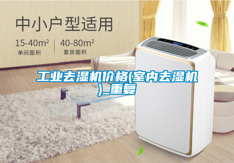 工业去湿机价格(室内去湿机)_重复