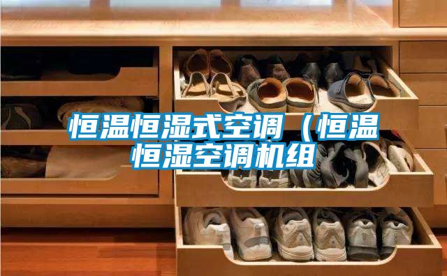 恒温恒湿式空调（恒温恒湿空调机组