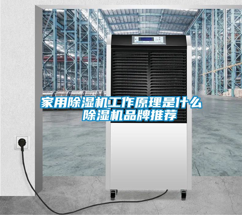 家用除湿机工作原理是什么  除湿机品牌推荐