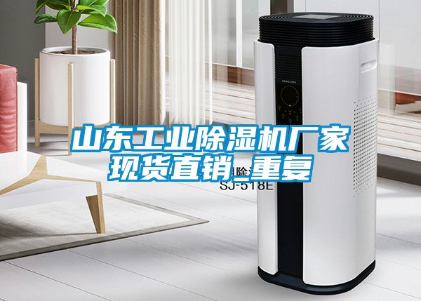 山东工业除湿机厂家现货直销_重复