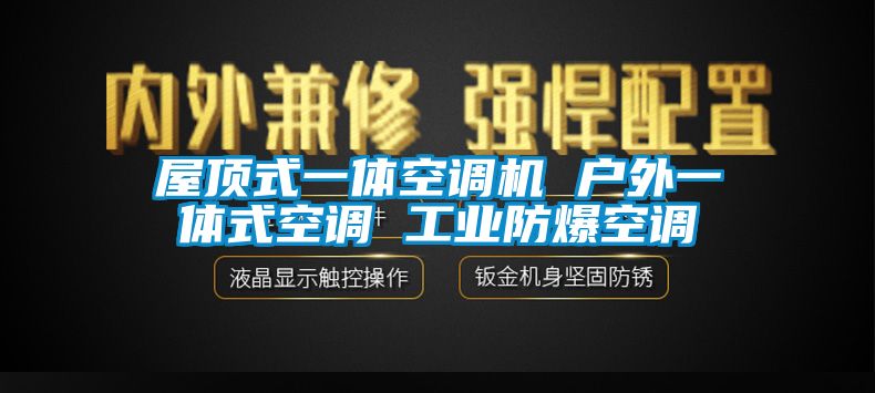 屋顶式一体空调机 户外一体式空调 工业防爆空调