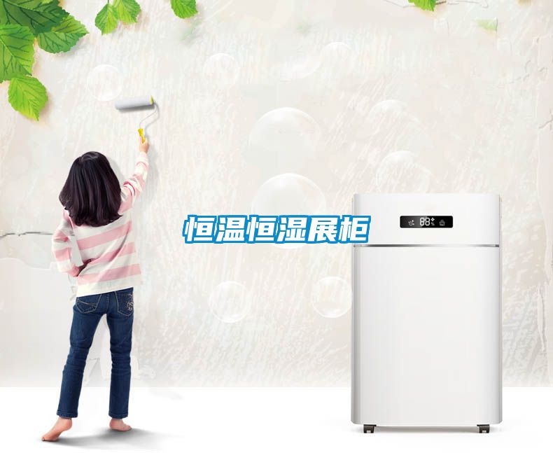 恒温恒湿展柜