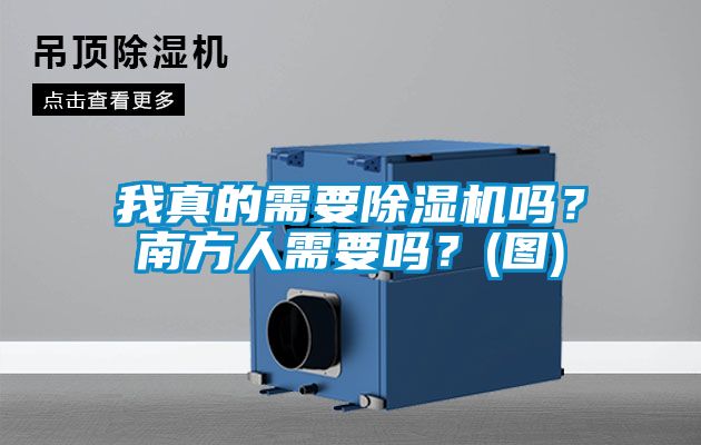 我真的需要除湿机吗？南方人需要吗？(图)