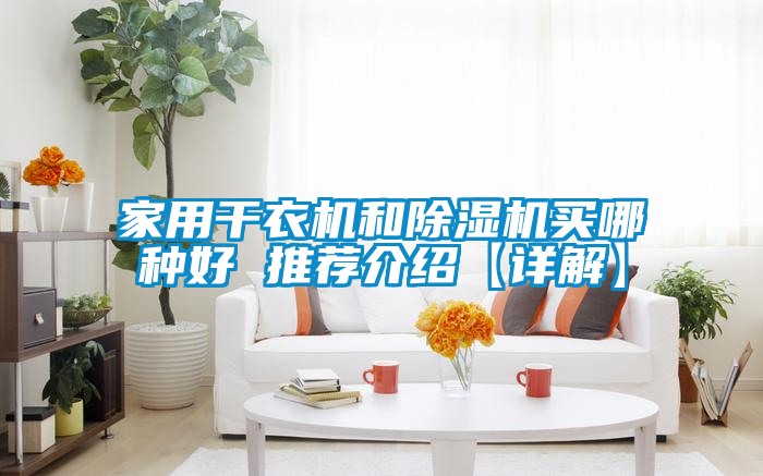 家用干衣机和除湿机买哪种好 推荐介绍【详解】
