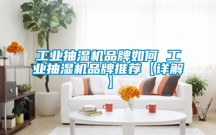 工业抽湿机品牌如何 工业抽湿机品牌推荐【详解】