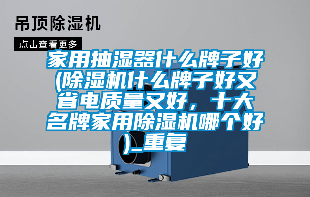 家用抽湿器什么牌子好(除湿机什么牌子好又省电质量又好,十大名牌家用除湿机哪个好)_重复