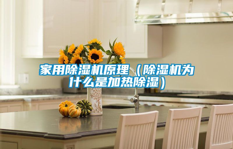 家用除湿机原理(除湿机为什么是加热除湿)