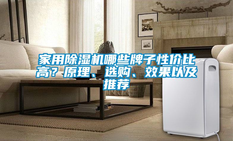 家用除湿机哪些牌子性价比高？原理、选购、效果以及推荐