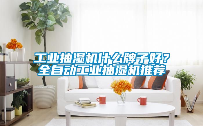 工业抽湿机什么牌子好？全自动工业抽湿机推荐