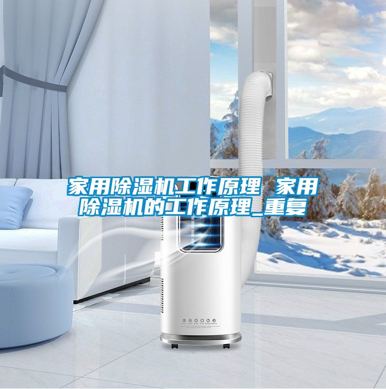 家用除湿机工作原理 家用除湿机的工作原理_重复