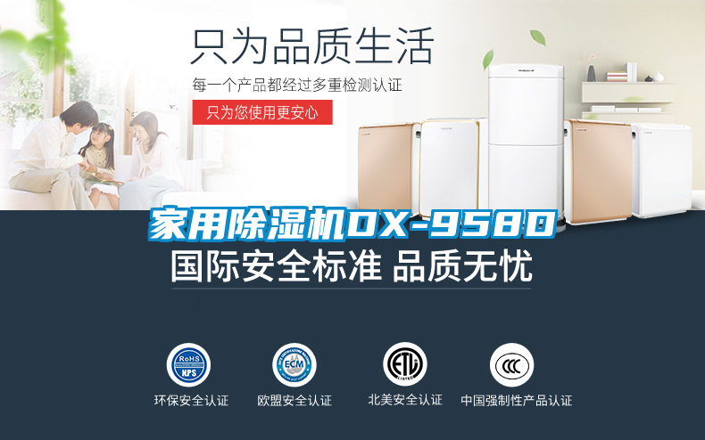 家用除湿机DX-958D