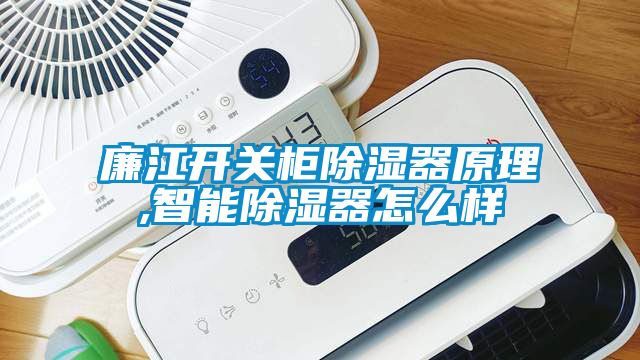 廉江开关柜除湿器原理,智能除湿器怎么样