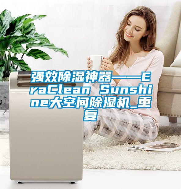强效除湿神器――EraClean Sunshine大空间除湿机_重复