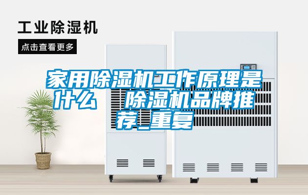 家用除湿机工作原理是什么  除湿机品牌推荐_重复