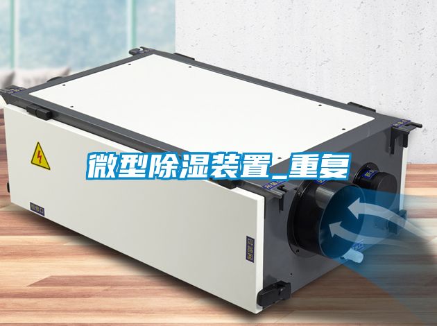 微型除湿装置_重复