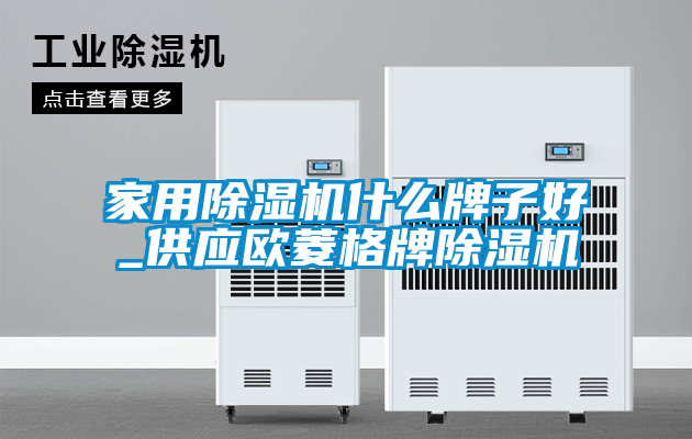 家用除湿机什么牌子好_供应欧菱格牌除湿机