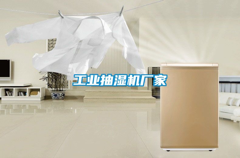 工业抽湿机厂家