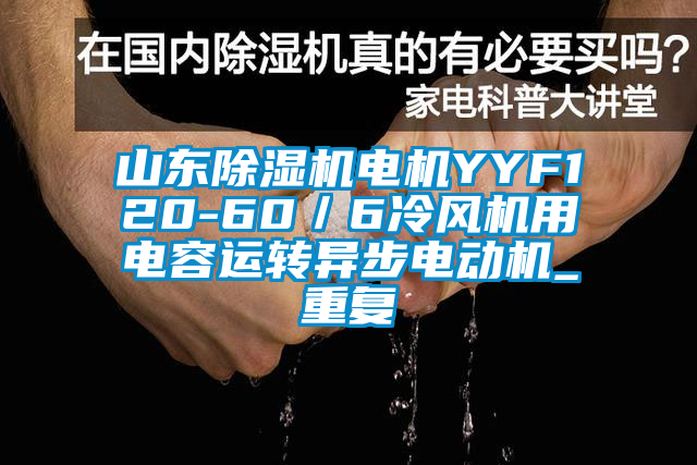 山东除湿机电机YYF120-60／6冷风机用电容运转异步电动机_重复