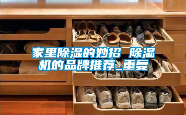 家里除湿的妙招 除湿机的品牌推荐_重复